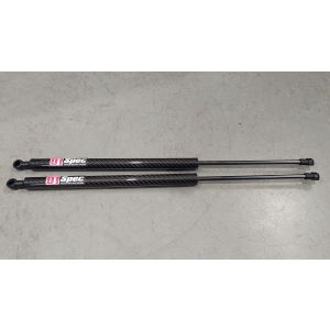 D1 Spec Hinten Gasfeder Heckklappe Carbon Nissan 350Z