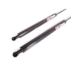 D1 Spec Haubendämpfer Carbon Honda Civic