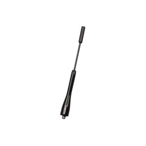 Foliatec Antenne Schwarz