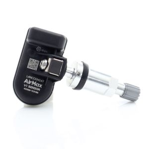 Air Max TPMS-Ventil Silber Stahl