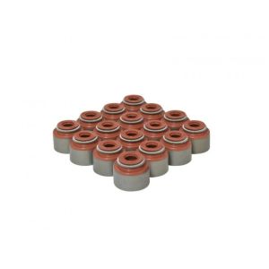 Skunk2 Ventilschaftdichtung Viton 5.5MM Honda Civic,CRX,Del Sol