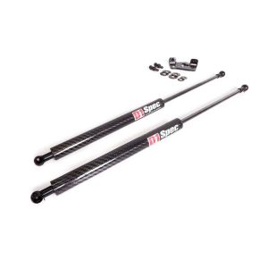D1 Spec Haubendämpfer Carbon Honda Civic,Del Sol