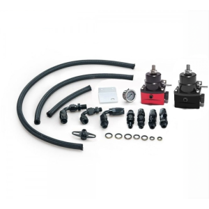 SK-Import Benzindruckregler