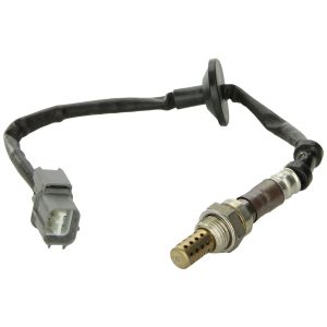 NTK Lambdasonde 4-Kabel männlich Honda Civic,Accord,Del Sol