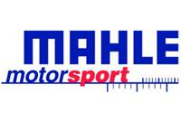 Mahle Motorsport
